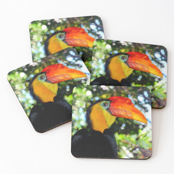 Item preview, Hornbill  designed and sold by Savannah Gibbs.