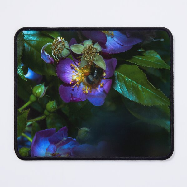 Item preview, Looking - A View designed and sold by Carl Gaynor.