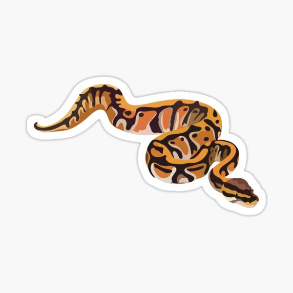 Vista previa del artículo con la obra «B es para Ball Python», diseñado y vendido por thezoogirl.