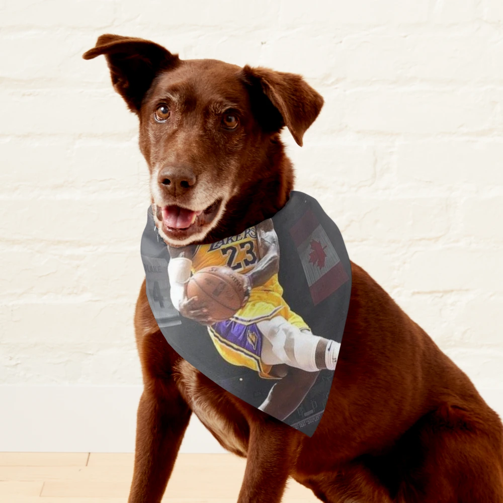 Lebron James dunking Pet Bandana for Sale by Corazo Redbubble