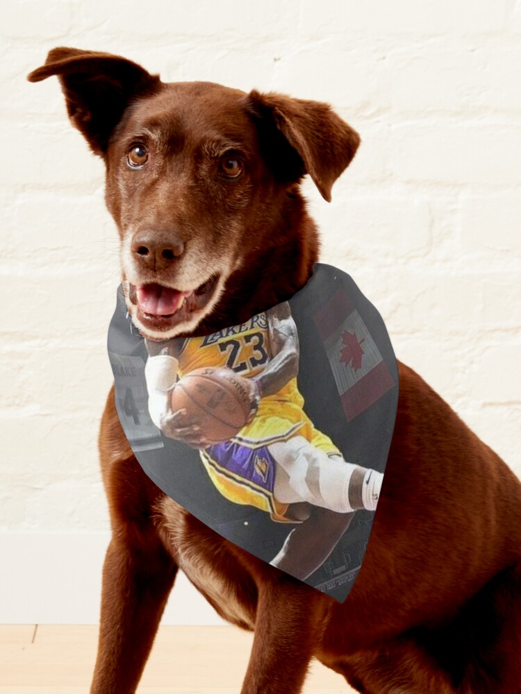 Dunk (Basketball) Dog Bandana