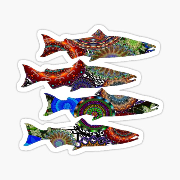 Salmon Delight Sticker