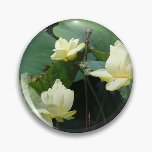 Artikelvorschau, Lotusblumen entworfen und verkauft von zumi.