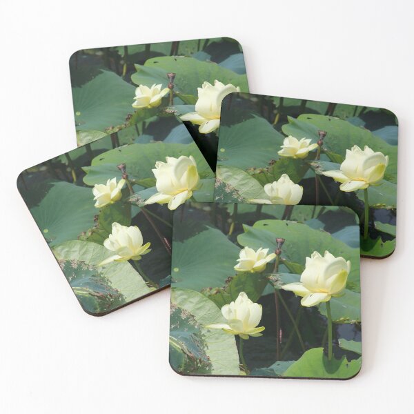 Item preview, Lotus flowers designed and sold by zumi.