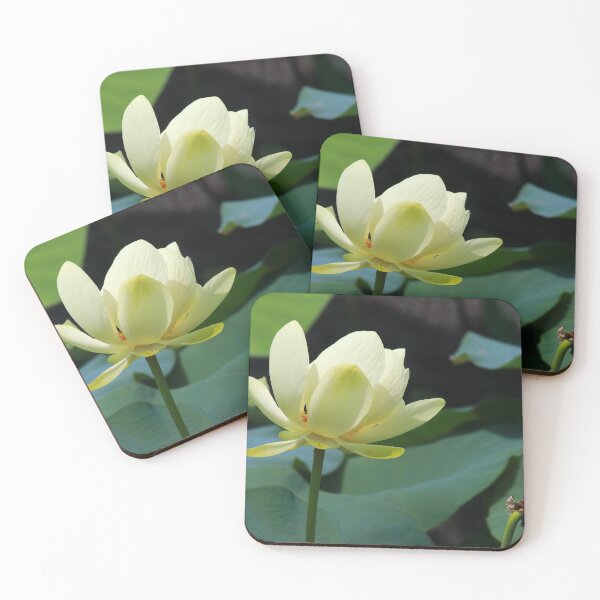 Item preview, Nymphaeaceae designed and sold by zumi.