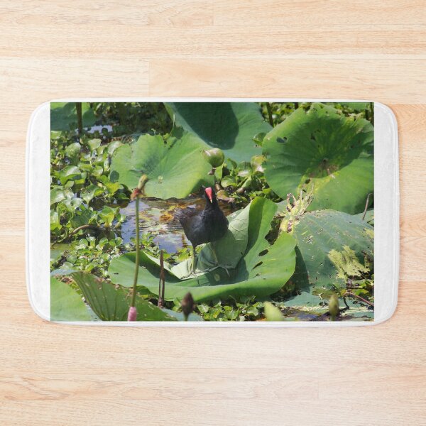 Item preview, Common moorhen designed and sold by zumi.