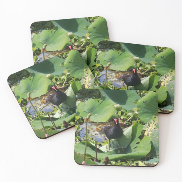 Item preview, Common moorhen designed and sold by zumi.