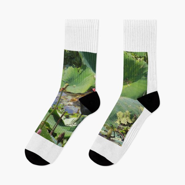 Item preview, Common moorhen designed and sold by zumi.