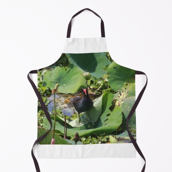 Item preview, Common moorhen designed and sold by zumi.