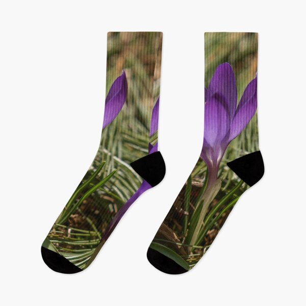 Item preview, purple crocus  designed and sold by R-York.