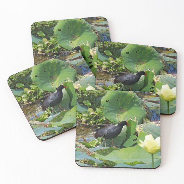 Item preview, Common moorhen designed and sold by zumi.