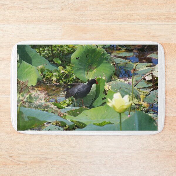 Item preview, Common moorhen designed and sold by zumi.