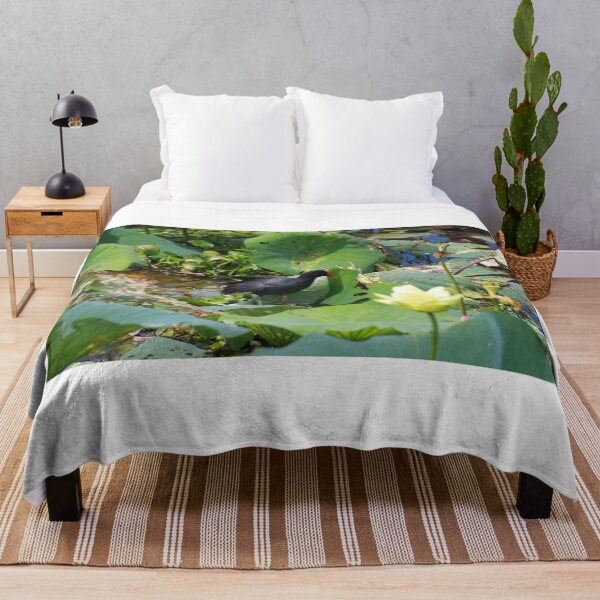 Item preview, Common moorhen designed and sold by zumi.