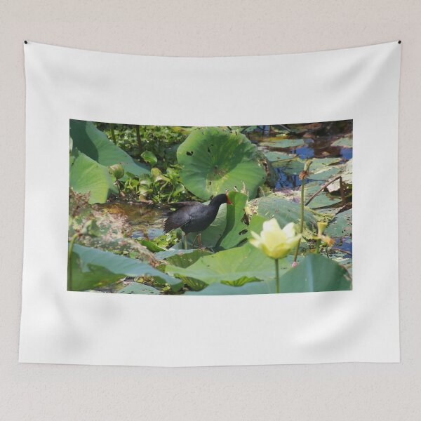 Item preview, Common moorhen designed and sold by zumi.