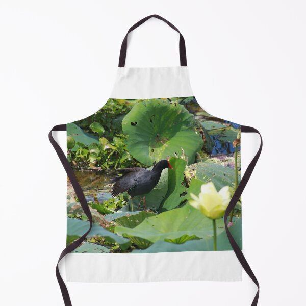 Item preview, Common moorhen designed and sold by zumi.