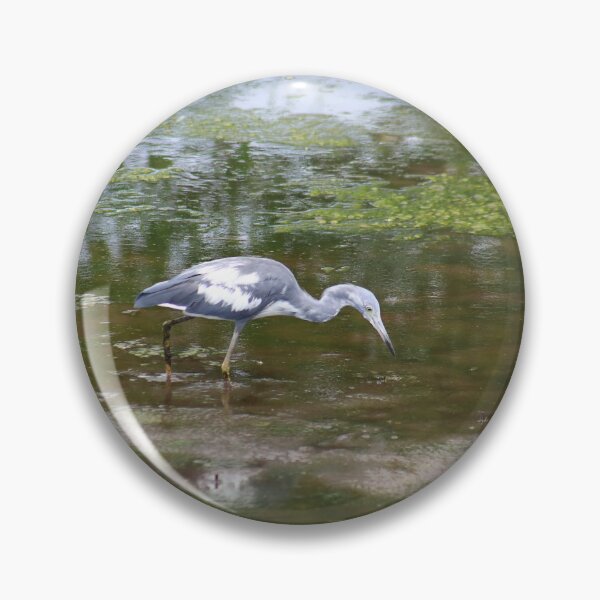 Artikelvorschau, Reiher im Park entworfen und verkauft von zumi.