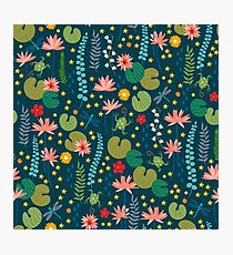 Lily Pad Photographic Print