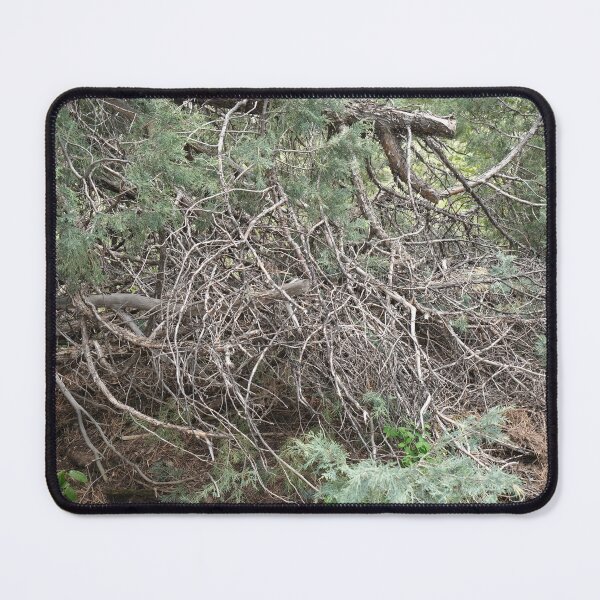 Item preview, Tree Branches in the Rockies designed and sold by Haley-Marshall.
