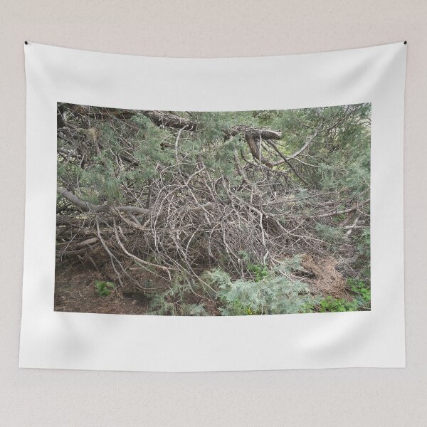 Item preview, Tree Branches in the Rockies designed and sold by Haley-Marshall.