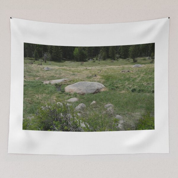Item preview, Stones in the Meadow designed and sold by Haley-Marshall.