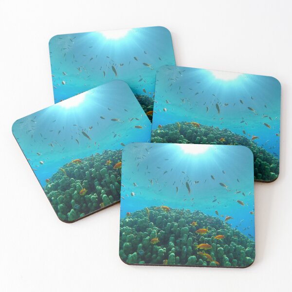 Item preview, Coral reef and water plants in the Red Sea, Eilat Israel designed and sold by yeshayad.