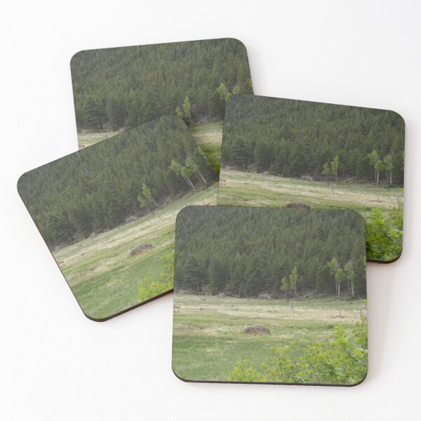 Aperçu de l'œuvre Prairie et Arbres créée et vendue par Haley-Marshall.