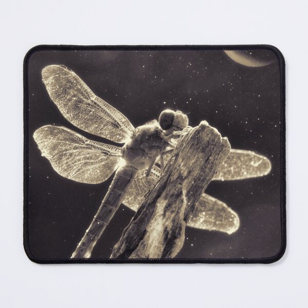 Item preview, Autumn Equinox with Crescent Moon and Dragonfly designed and sold by Stephanie Laird.