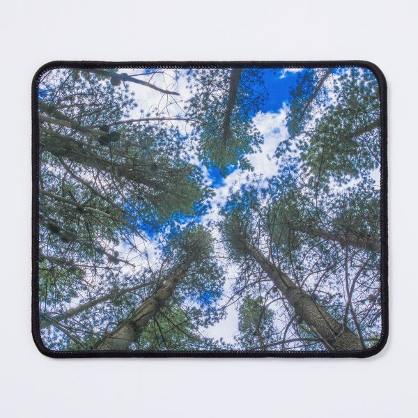 Item preview, Looking Up at Pines designed and sold by Steven Jodoin.