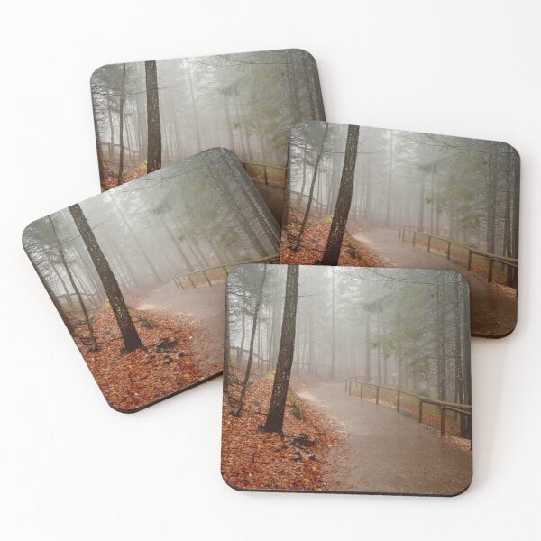 Item preview, Misty Forest Path in Germany designed and sold by Lauren Clewes Photography.