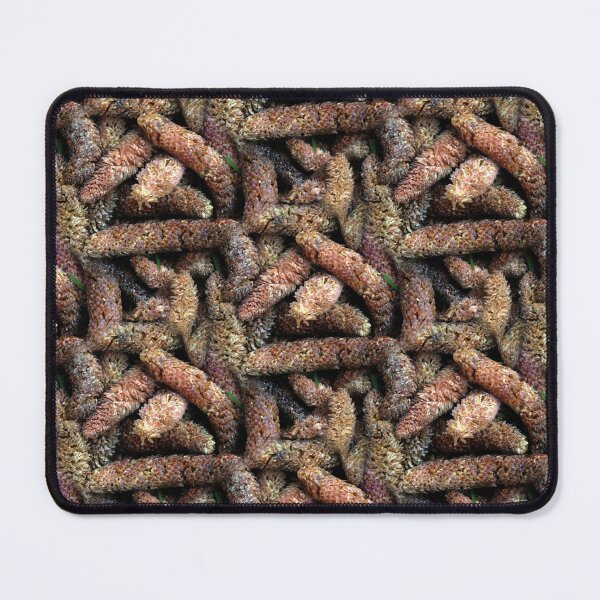 Item preview, See da Cedar Cone-centration (pattern) designed and sold by Yampimon.