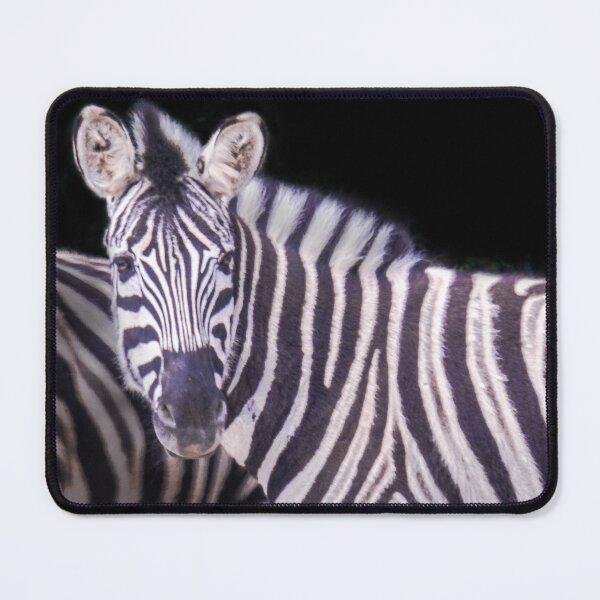 Item preview, Real B&W Zebra designed and sold by Steven Jodoin.