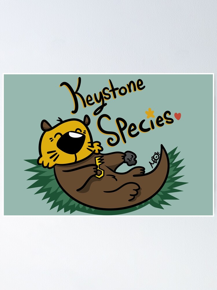 "Sea Otter, Keystone Species!" Poster for Sale by MurphyOtter | Redbubble