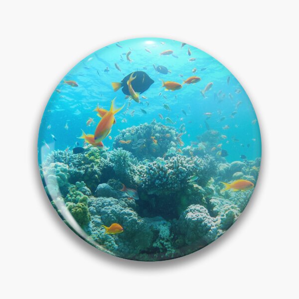 Item preview, Coral reef and water plants in the Red Sea, Eilat Israel designed and sold by yeshayad.