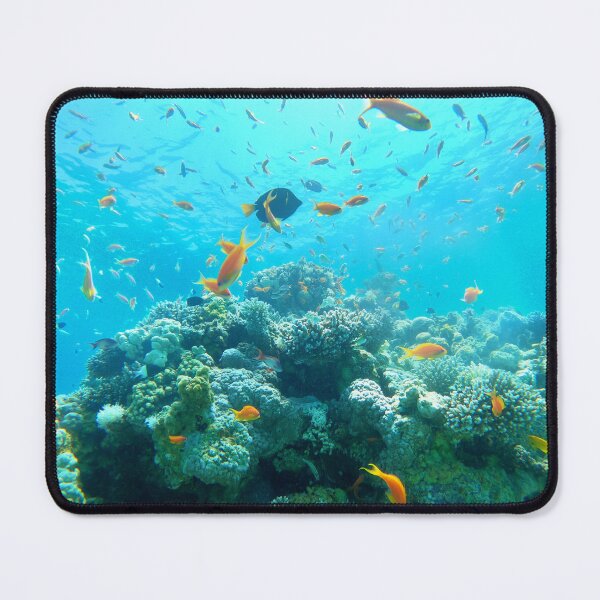 Item preview, Coral reef and water plants in the Red Sea, Eilat Israel designed and sold by yeshayad.