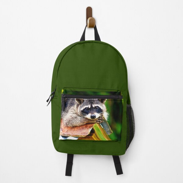 Item preview, ANIMALS #35 - Adorable Bandit Raccoon designed and sold by DEL-Productions.