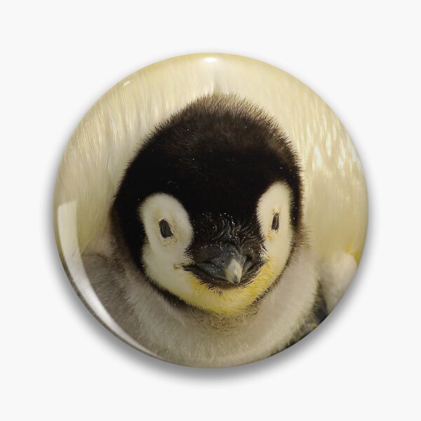 Item preview, ANIMALS #36 - Adorable Penguin Chick Under Parent's Belly designed and sold by DEL-Productions.