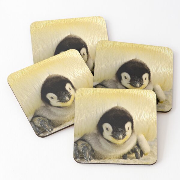 Item preview, ANIMALS #36 - Adorable Penguin Chick Under Parent's Belly designed and sold by DEL-Productions.