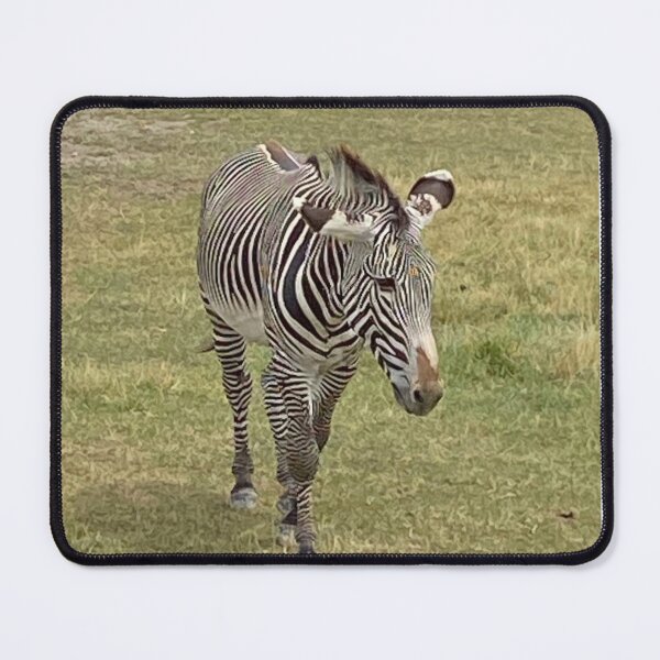 Item preview, Step on up Zebra  designed and sold by DentistArt2022.