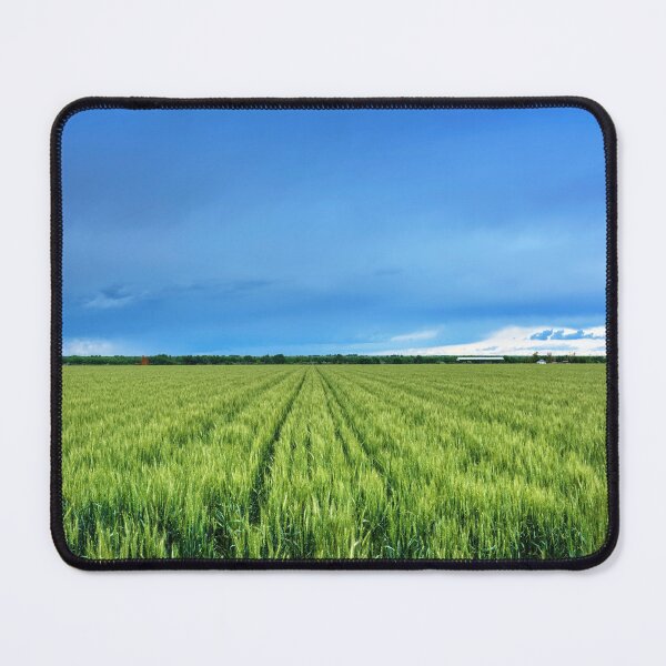 Item preview, Countryside Rice Field - Photography designed and sold by Tjokko-chan.