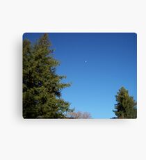 Day Moon Canvas Print