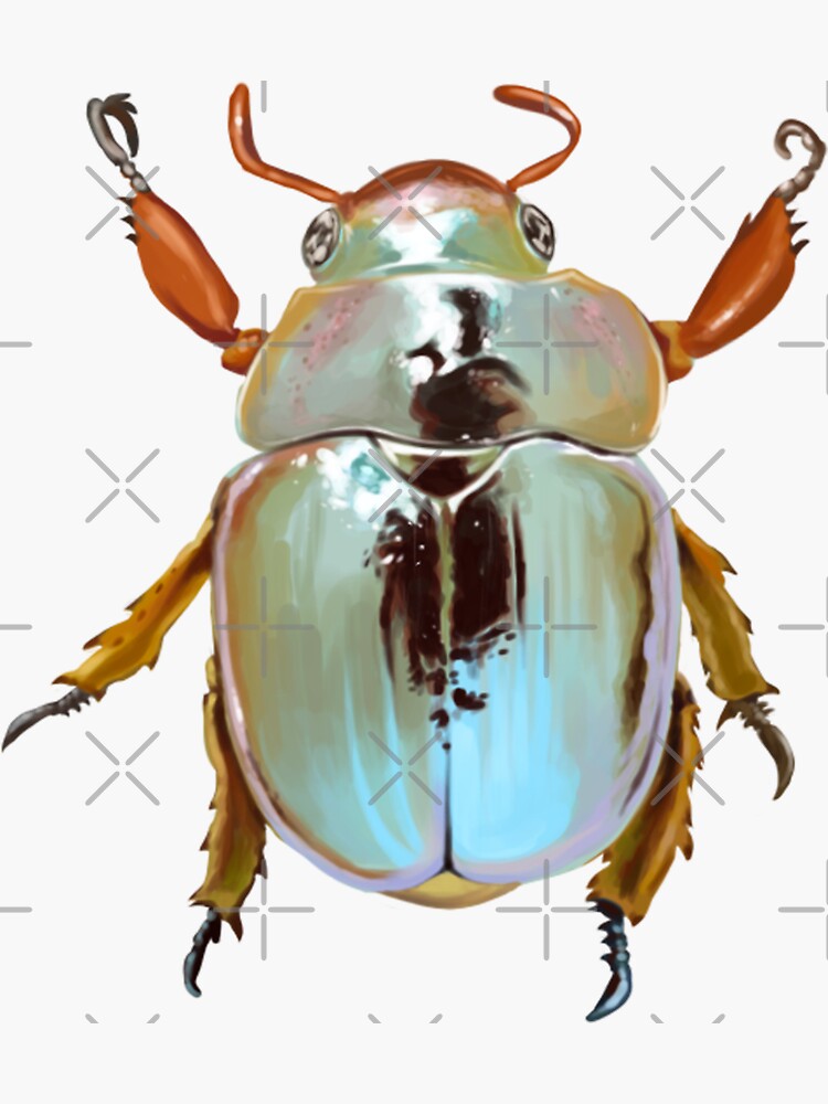 Rainbow Jewel Scarab Beetle by seasofstars