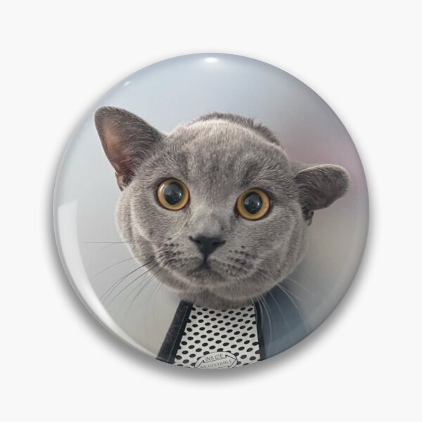 Item preview, The Cone Of Shame designed and sold by JijixRaya.