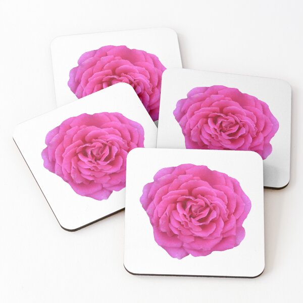 Item preview, Pink Bengal Rose Flower Bloom Photograph Cutout Hydro Laptop Sticker designed and sold by OneWorldLove.
