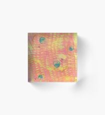 Mantis Eye Acrylic Block