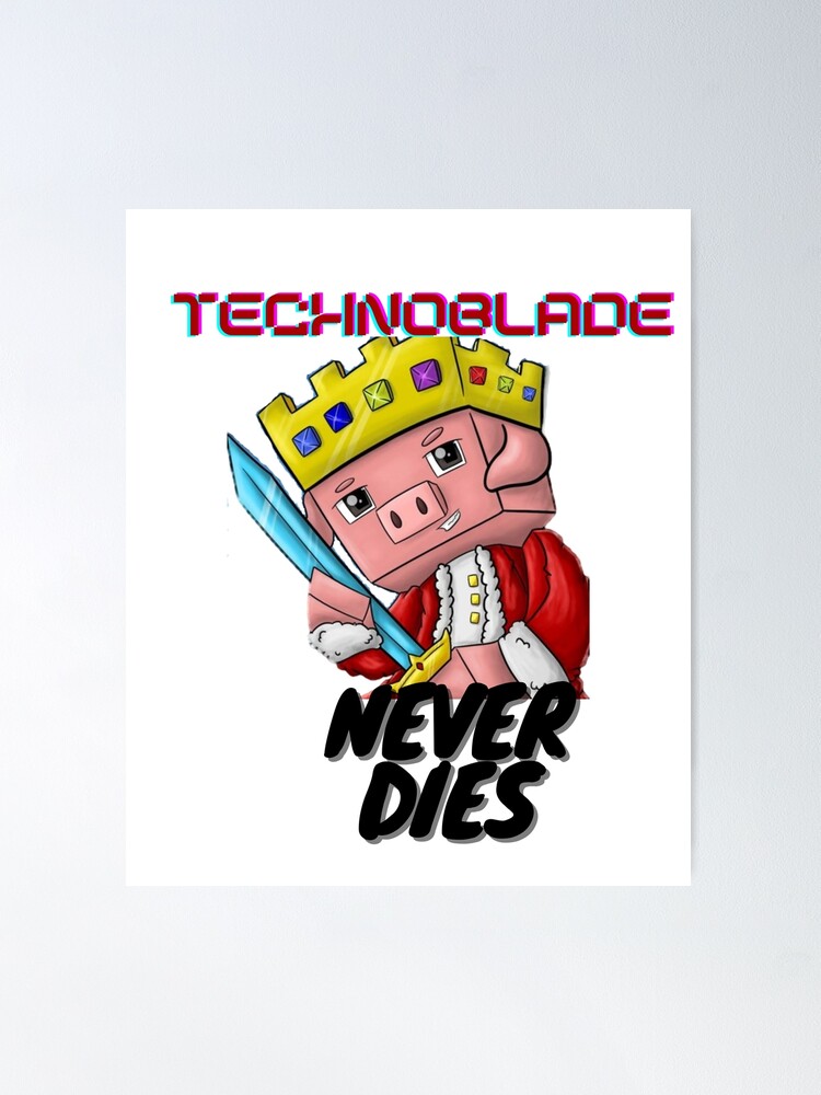 People Got MAD At Technoblade 