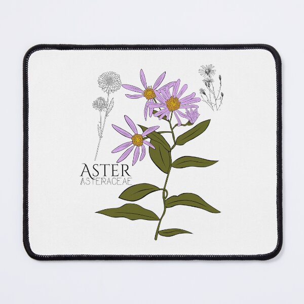 Item preview, Purple Aster Asteraceae Colorful Illustration Design designed and sold by EarthArtDesigns.