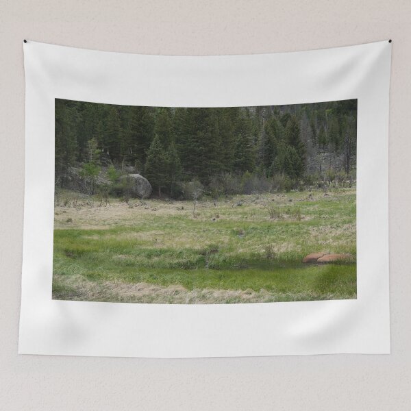 Item preview, Field and Trees designed and sold by Haley-Marshall.
