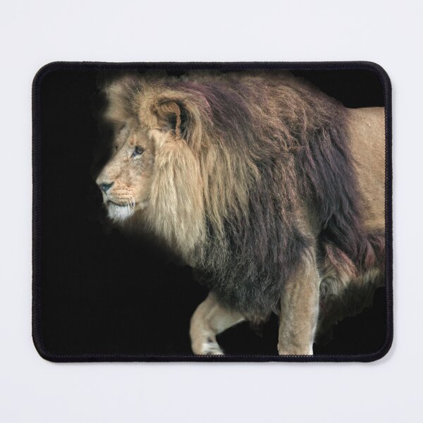 Item preview, Lion on Black designed and sold by Steven Jodoin.