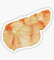 Lace Wing Sticker