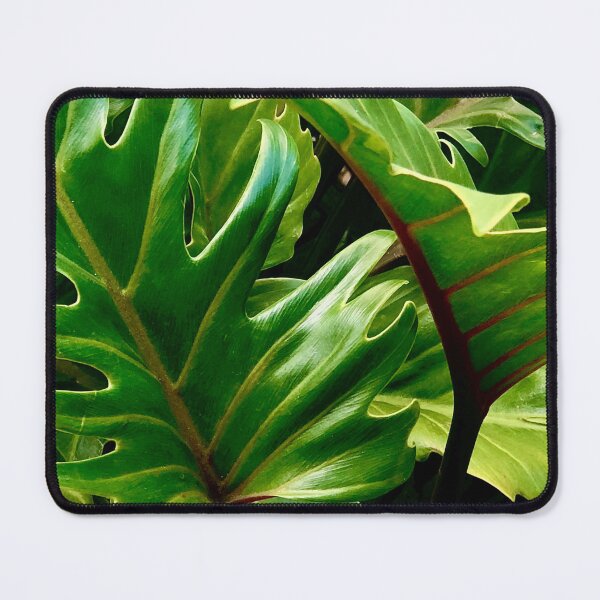 Item preview, Gorgeous Greens designed and sold by KazM.